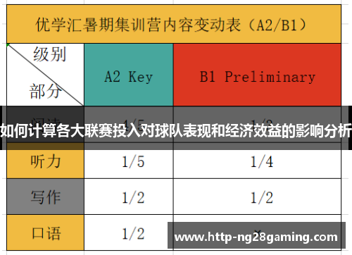 如何计算各大联赛投入对球队表现和经济效益的影响分析
