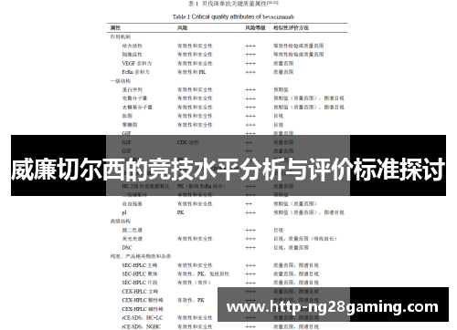 威廉切尔西的竞技水平分析与评价标准探讨 威廉切尔西的竞技水平分析与评价标准探讨