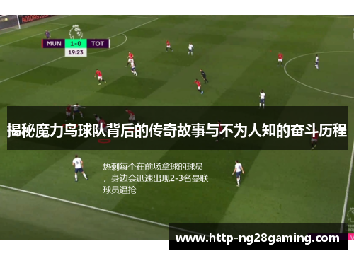 揭秘魔力鸟球队背后的传奇故事与不为人知的奋斗历程 揭秘魔力鸟球队背后的传奇故事与不为人知的奋斗历程