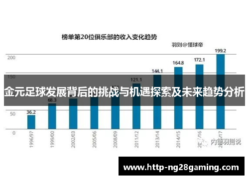 金元足球发展背后的挑战与机遇探索及未来趋势分析